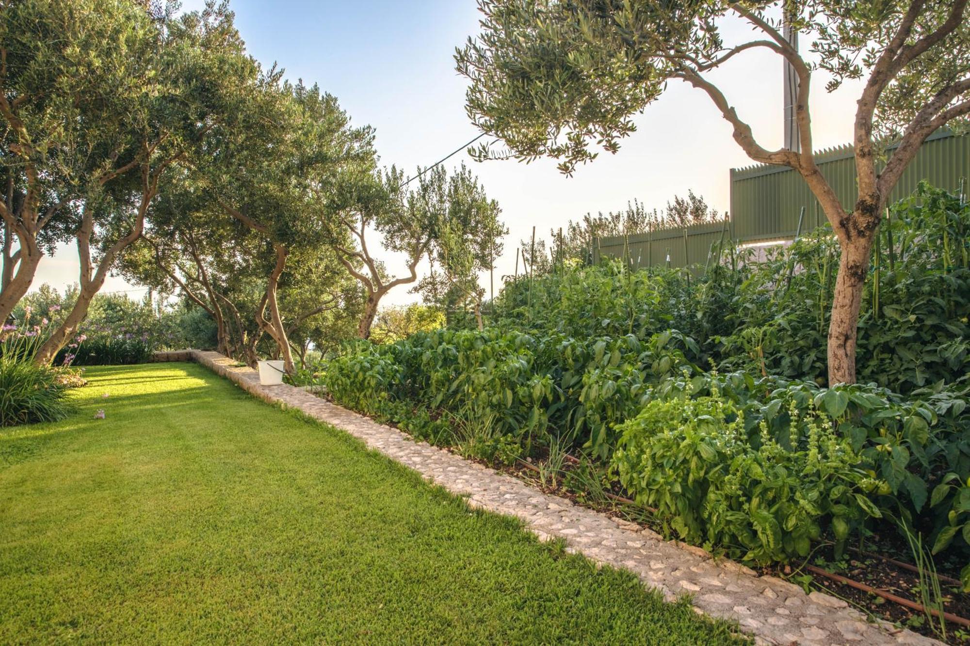 Villa Tamaris Makarska Exterior foto